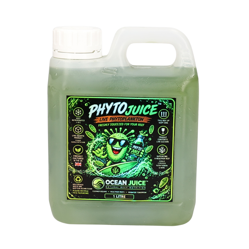 Ocean Juice Phyto Juice