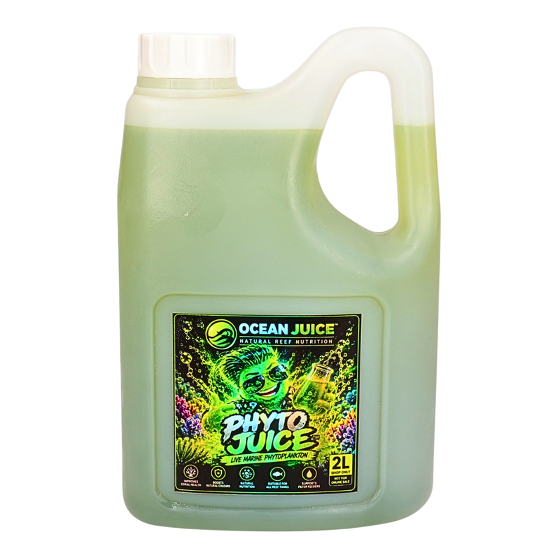 Ocean Juice Phyto Juice