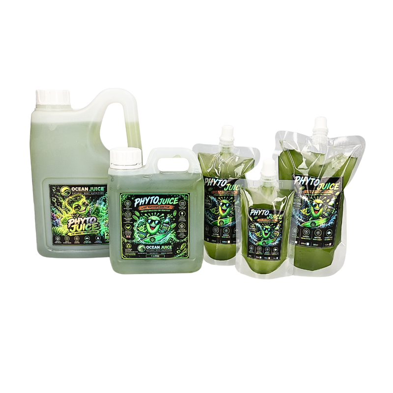 Ocean Juice Phyto Juice