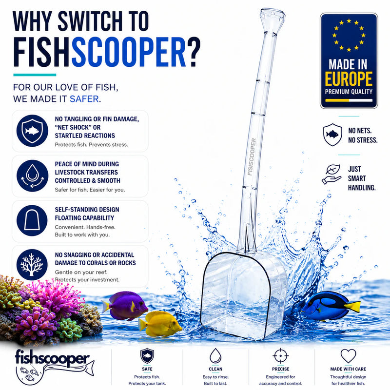 FishScooper