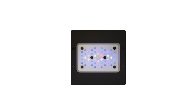 Ecotech Marine Radion G6 XR15 Blue