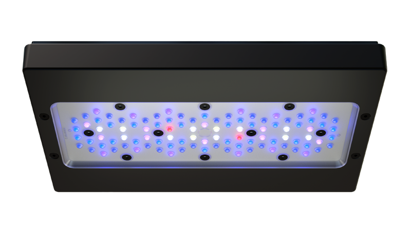 Ecotech Marine Radion G6 XR30 Blue