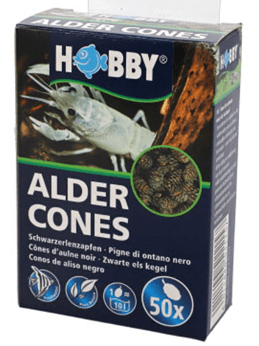 Hobby Alder Cones