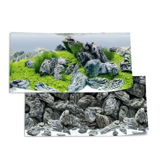 Juwel Poster 4 - Aquascape / Stone - 100 x 50cm