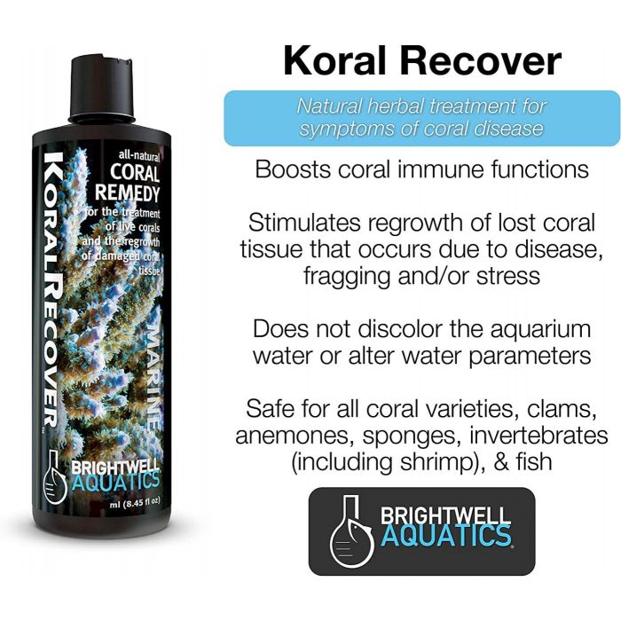 Brightwell Aquatics Koral Recover 250ml
