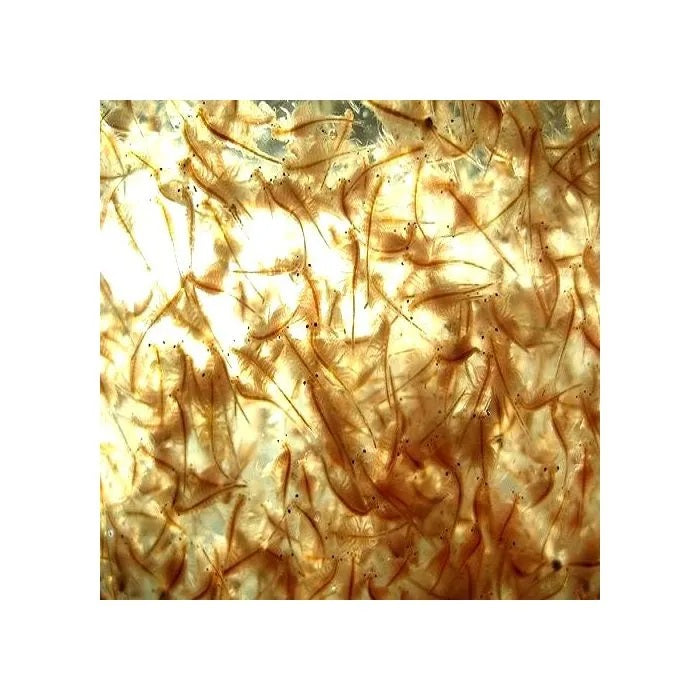 Aquadip Live Brine Shrimp Pouch