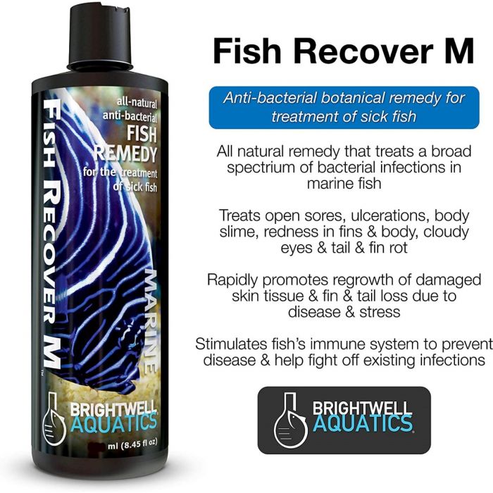 Brightwell Aquatics Fish Recover Marine 500ml