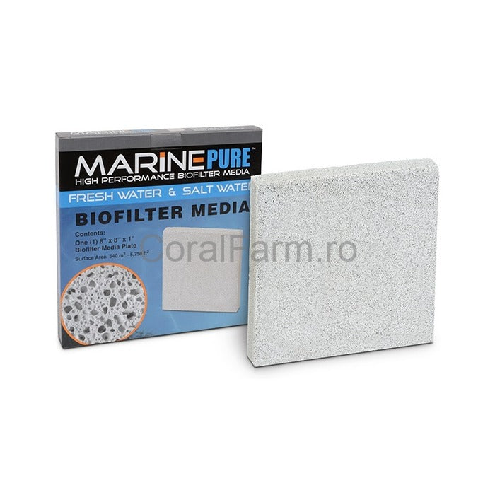 Marine Pure Plate 20x20x2.5cm