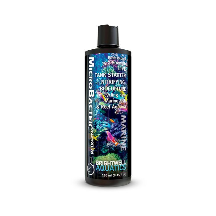Brightwell Aquatics BacStart XLM Marine Starter Culture 125ml