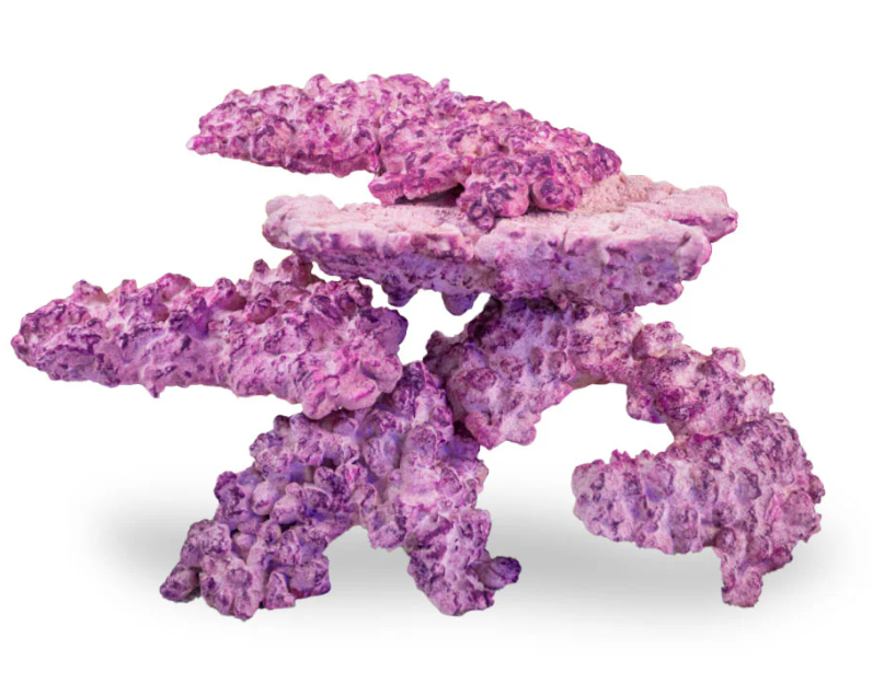 Aquaforest Nano Rock 5 Piece Set (3.5kg)