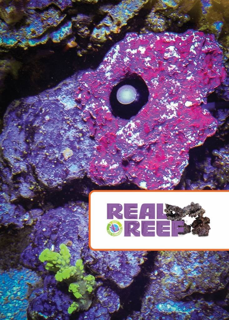 Neptune Apex PMK PAR Monitoring Kit