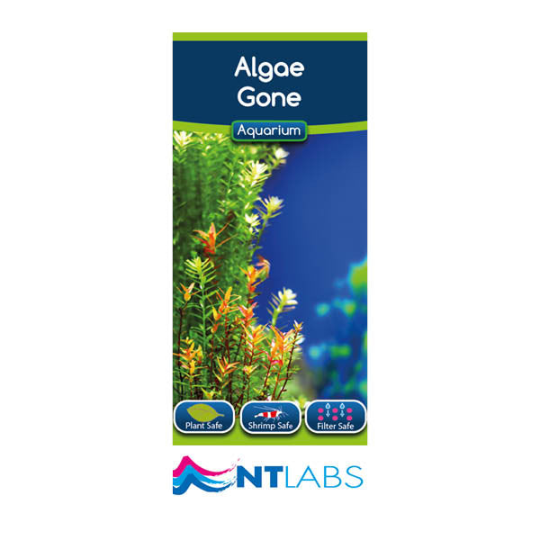 NT Labs Algae Gone 100ml
