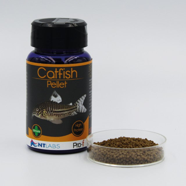 NT Labs Pro-F Catfish Pellets 60g