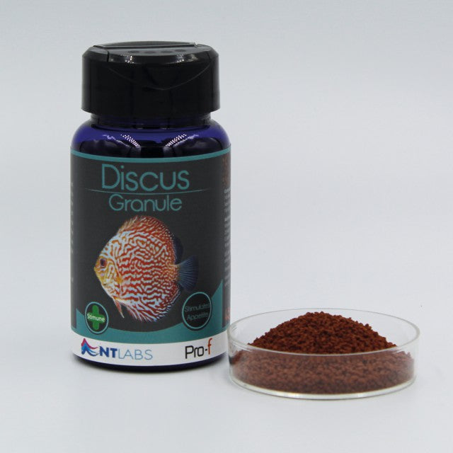 NT Labs Pro-F Discus Granule 45g