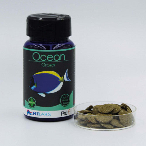 NT Labs Pro-F Ocean Grazer 40g