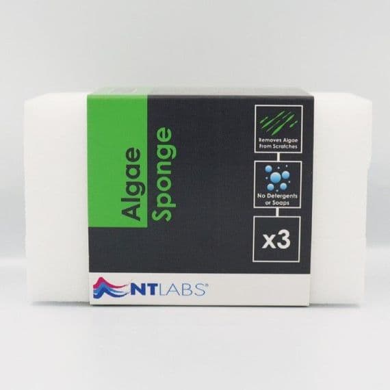 NT Labs ProCare Algae Sponge x 3