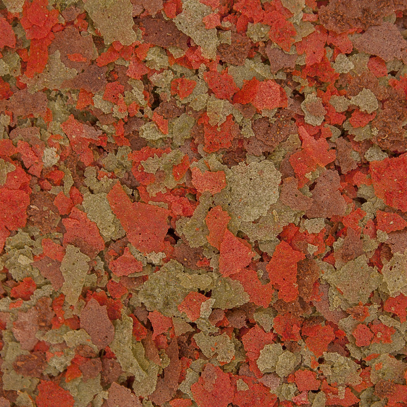 Ocean Nutrition Cichlid Omni Flakes 34g