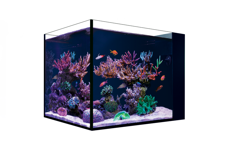 Red Sea DESKTOP Peninsula Nano Aquarium