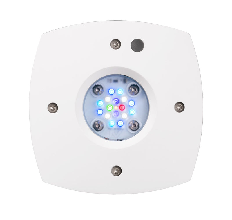 AI Prime 16HD Reef LED Lighting - Black/White