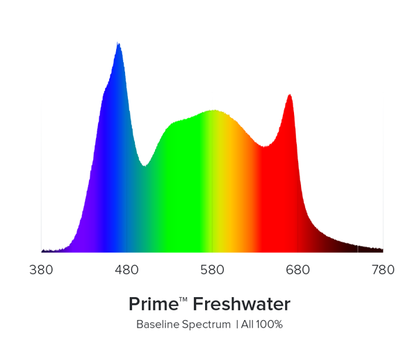 AI Prime 16HD Freshwater LED Lighting - Black/White