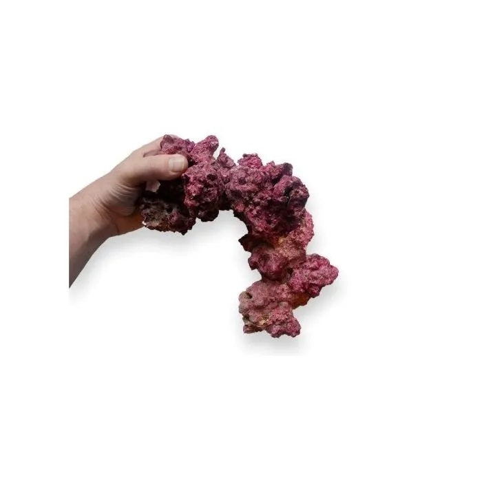 Real Reef Rock - Arches FULL BOX (4pcs/box)