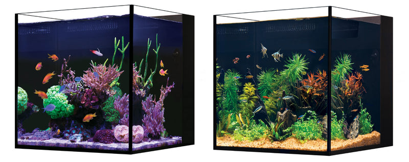 Red Sea DESKTOP Cube Nano Aquarium