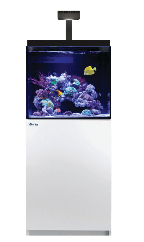 Red Sea MAX E-170 Complete Reef System - White — Finest Aquatics