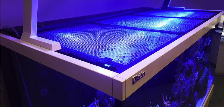 Red Sea DIY Net Cover 60 x 60cm / 24 x 24"