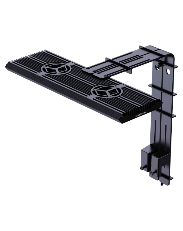 Reef Factory Reef Flare Pro Arm M/L (Black)