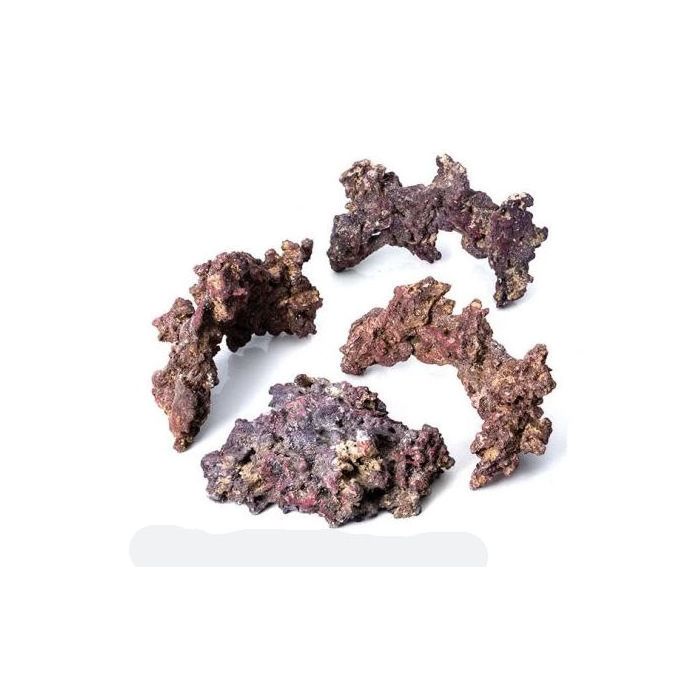 Caribsea Reef Tree Kit