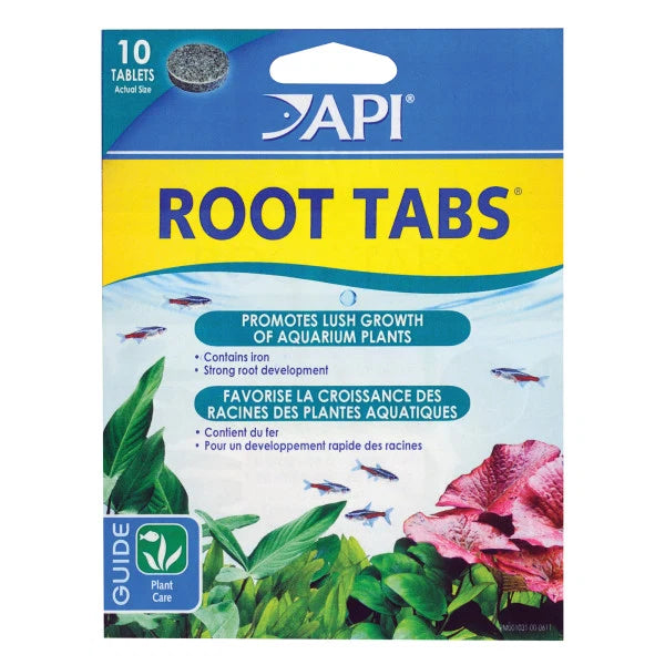 API Root Tabs