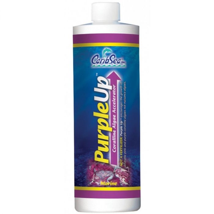 Caribsea Purple Up 8oz