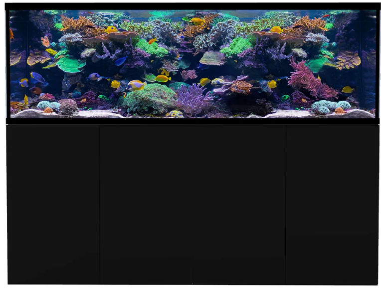 D-D Aqua-Pro Reef 2100-Satin Black