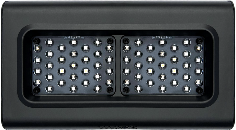 D-D Spektrum 150 High Output LED Light