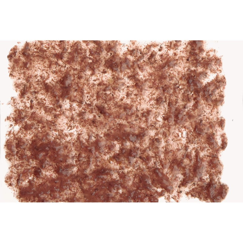 Tetra Fresh Delica Brine Shrimp 16x3g