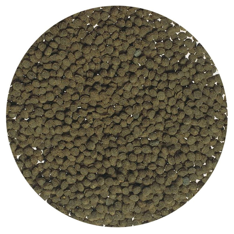 Tetra Goldfish Gold Colour 75g