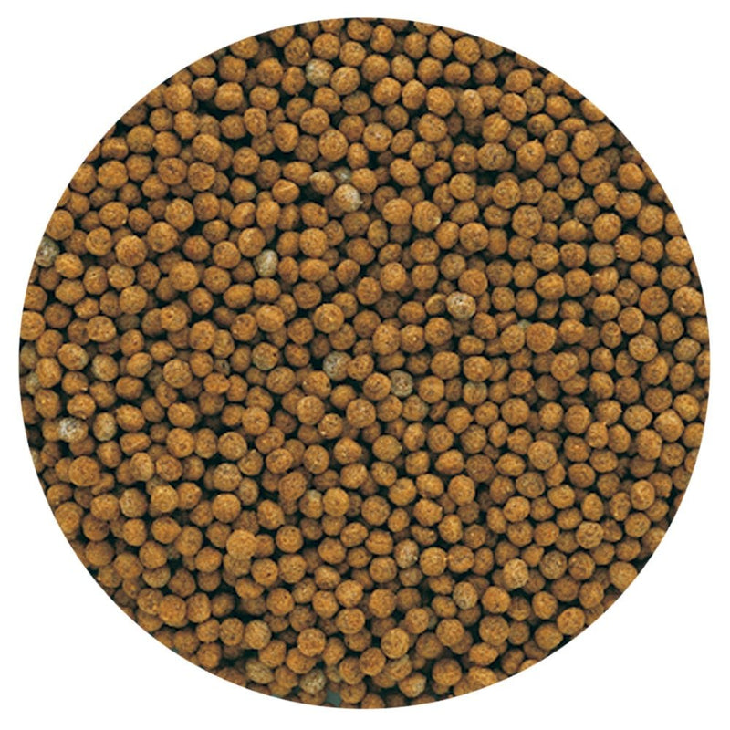 Tetra Goldfish Gold Exotic 80g