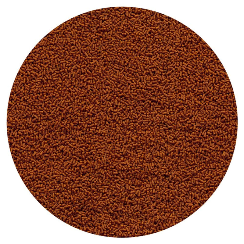 Tetra Goldfish Gold Japan 55g