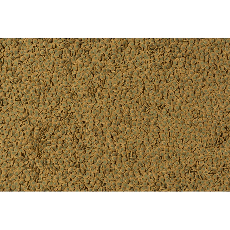 Tetra Pleco Veggie Wafers 42g