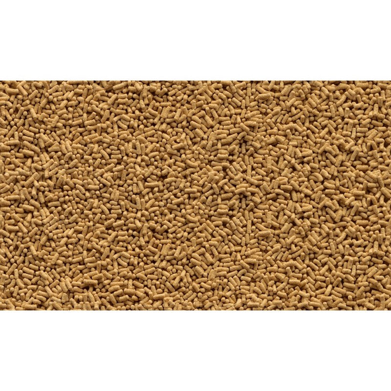 Tetra Pond Sticks 50L (5kg)