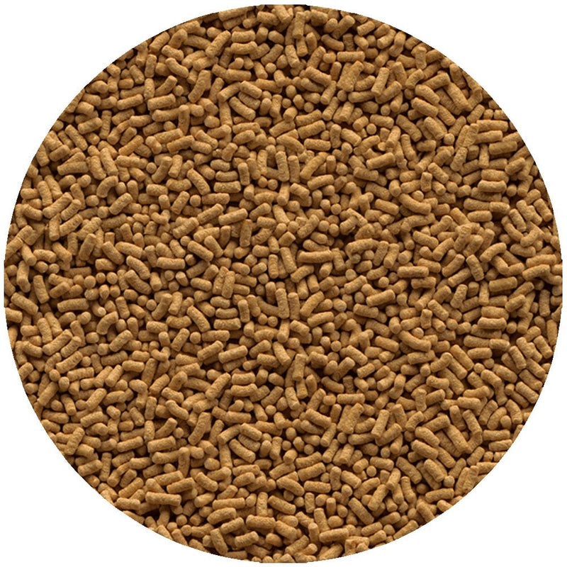Tetra Pond Wheatgerm Sticks 4L