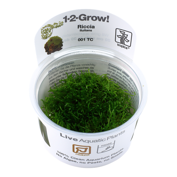 Tropica Riccia Fluitans - 1-2-Grow!