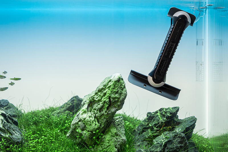 Tunze Care Algae Magnet Long