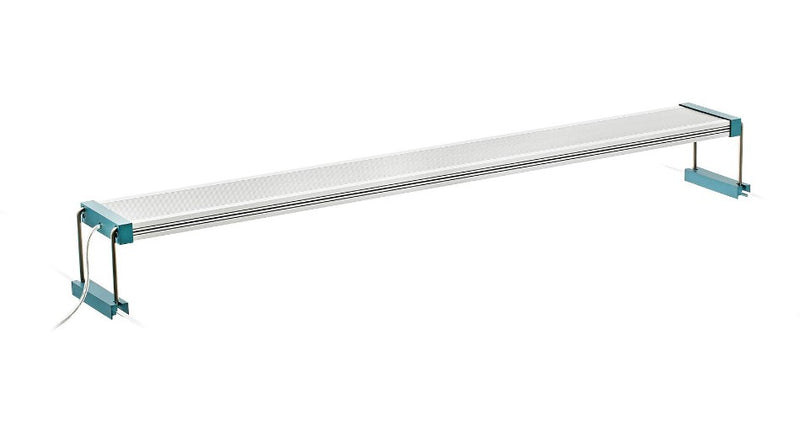 Twinstar LED Light III CA 600
