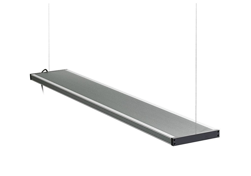 Twinstar LED Light III SP 900 (Pendant)