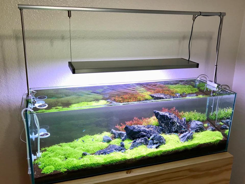 Twinstar LED Light III SP 900 (Pendant)