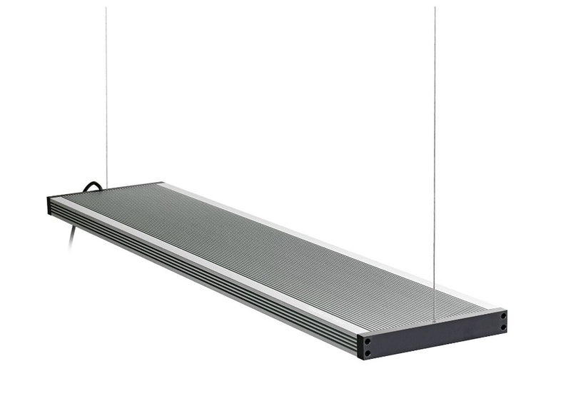 Twinstar LED Light III SP 600 (Pendant)