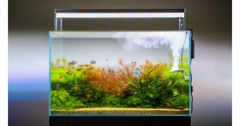 Twinstar Nano Algae Inhibitor