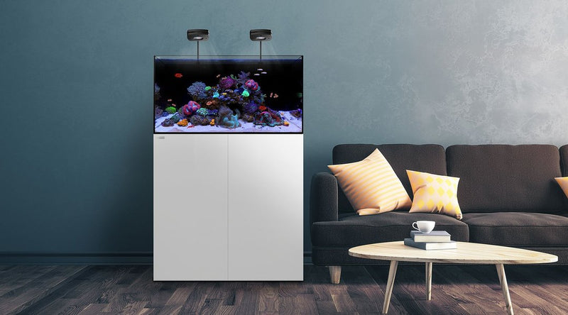 Waterbox AIO 65.4 Freshwater / Marine Aquarium System