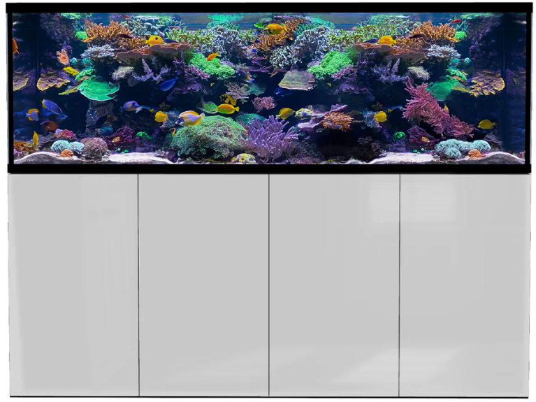 D-D Aqua-Pro Reef 2100-White Gloss